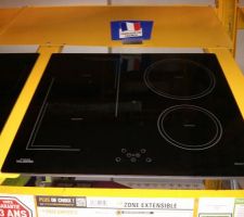 Plaque induction 1er choix