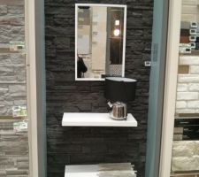 Id&eacute;e de parement pour la salle de bain du rdc