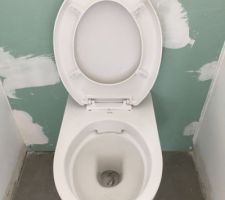 MAUVAIS ABATTANT DE WC SUSPENDU