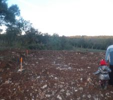 Terrain brut juste born&eacute;