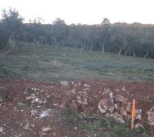 Terrain brut juste born&eacute;