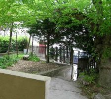 Jardin/entrée de la maison