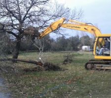 Début de l'intervention du terrassier, 1er trou pour fondation et retrait des arbres qui gênent