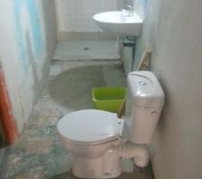 La salle de bain PENDANT

Pose du lavabo provisoire (la vasque arrivera plus tard!)
Pose des WC plus compacts