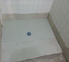 La salle de bain PENDANT

Carrelage de la douche
NB : à termes, je vais faire sauter le carrelage mural...