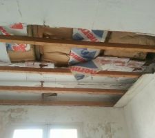 Retrait du plafond du salon