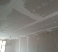 Pose du faux plafond ( murs) du salon/cuisine/sdb