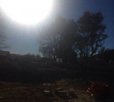 Le beau soleil du sud