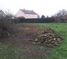 Les arbres sont coupés ! 1 bon week end de boulot