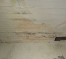 [Catastrophe naturelle]

Vu que l'état de catastrophe naturelle a été validée 2 fois en moins de 15 jours, j'avais bon espoir que l'assurance accélère les dossiers. Mais rien (On m'a mission 2 fois l'expert un mois et 3 mois après l'incident ; expert qui ne veut rien entendre, ne prend aucune photo, et évalue les dégâts à la moitié du prix du réel. Après une grosse bataille, j'obtiendrai une indemnisation décente plus de 5 mois après) Résultat, le plafond, humide, a entre temps commencé à moisir. Vu l'état d'urgence (plafond qui s'affaissait de plus en plus), j'ai du investir tout l'argent que j'avais réservé pour les autres travaux afin d'éviter d'envenimer la situation...