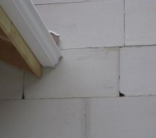 Beaucoup d'interstices ou de trous sont encore visibles sur la ma&ccedil;onnerie ext&eacute;rieure. Pour ce qui est de l'int&eacute;rieur, je ne peux plus rien v&eacute;rifier car la maison est d&eacute;sormais inaccessible (fen&ecirc;tes, portes pos&eacute;es...).