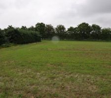 Après de longue recherche, nous avons le coup de c?ur pour ... un champ