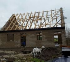 Lissage pignons caches moineaux