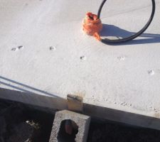 Un petit chat qui est passé par là !!