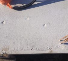 Un petit chat qui est passé par là !!