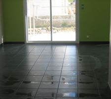 Vue d'ensemble avec l'&eacute;chafaudage pour l'enduit...