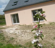 Maison derri&egrave;re pommier en fleurs