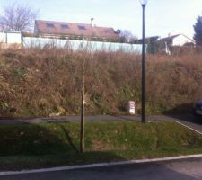 Terrain brut de face