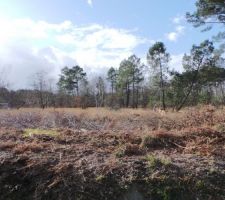 Vue dégagé une fois les arbres coupées