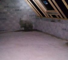 Surprise hier , le toit est finis et les Velux posé