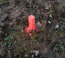 5/02/15 : piquets roses en place pour délimiter les futures fondations