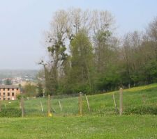 Vue ouest du terrain