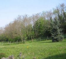 Vue globale du terrain