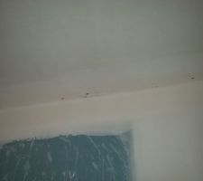 La moisissure appara&icirc;t !