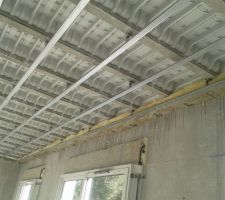 Rails du plafond