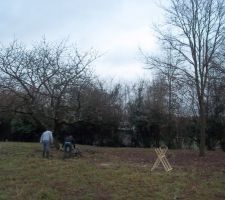 Apr&egrave;s l'abattement des arbres