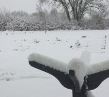 Notre jardin sous la neige... ce n'est pas souvent que le Gers voit autant de neige !