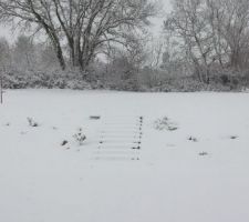 Notre jardin sous la neige... ce n'est pas souvent que le Gers voit autant de neige !