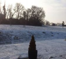 Notre jardin sous la neige en train de fondre... vue depuis notre cuisine ou notre salon. On commence à apercevoir à nouveau les végétaux