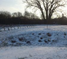 Notre jardin sous la neige en train de fondre... vue depuis notre cuisine. On commence à apercevoir à nouveau  la petite haie de buis plantée il y a quelques jours
