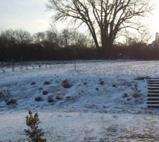 Notre jardin sous la neige en train de fondre... vue depuis notre cuisine. On commence à apercevoir à nouveau  la petite haie de buis plantée il y a quelques jours ainsi que les végétaux de la butte
