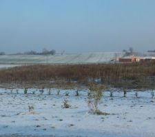 Notre jardin sous la neige en train de fondre... vue depuis la chambre de la miss. On aperçoit la haie de buis plantée pour chez nous pour délimiter l'espace avec le seul terrain limitrophe, sur la partie Nord de la maison. Et au loin, les nouvelles habitations en construction