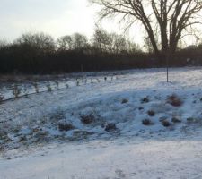Notre jardin sous la neige en train de fondre... vue depuis la cuisine