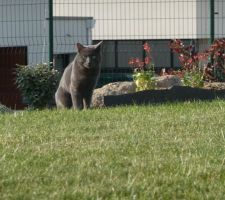 Il y en un à qui tout cet espace convient parfaitement c'est Pépito, ravi de pouvoir galoper.