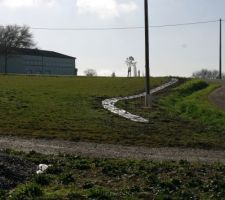 La haie champêtre est enfin plantée. Vivement que ça pousse !