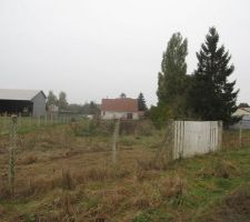 LE TERRAIN AVANT LE GRAND NETTOYAGE