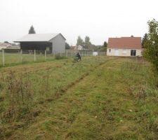 TERRAIN EN COURS DE NETTOYAGE ABATTAGES ET DESOUCHAGES D'ARBRES