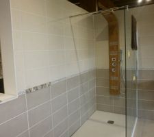 Futur salle de bain meme colorie