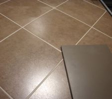 Cuisine/salon/s&eacute;jour   couloir