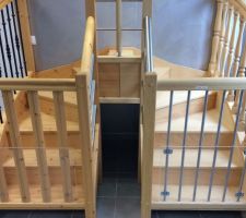 CMSP : modèle d'escalier, à gauche en sapin et à droite en bois exotique (le nôtre), pour la rambarde on a gardé celle de base (en bois exotique mais modèle de gauche).