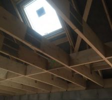 Velux