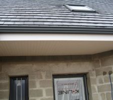 Gouttières noires en alu