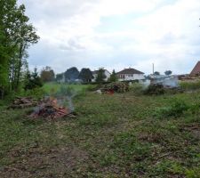 Après quelques coups de tronçonneuse