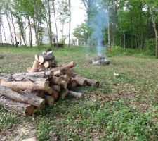 On y voit plus clair