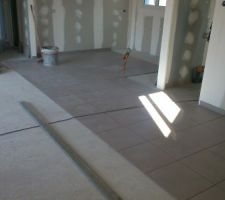 Desvres Magnetic Gris en 33*33 et 45*45