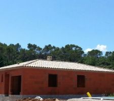 Oublis des genoises...............ca continue...